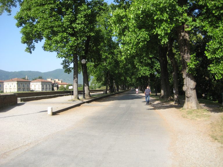 Martedì, settimana due