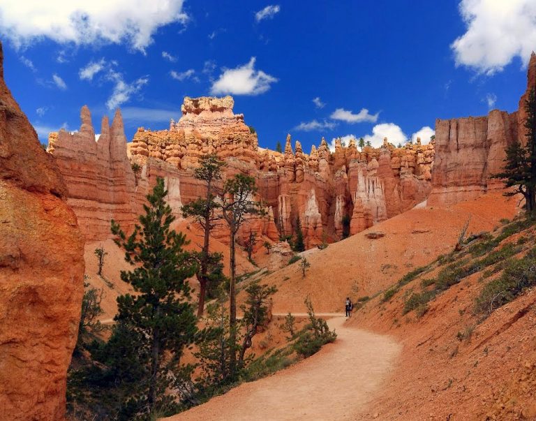 Bryce and&nbsp;Zion