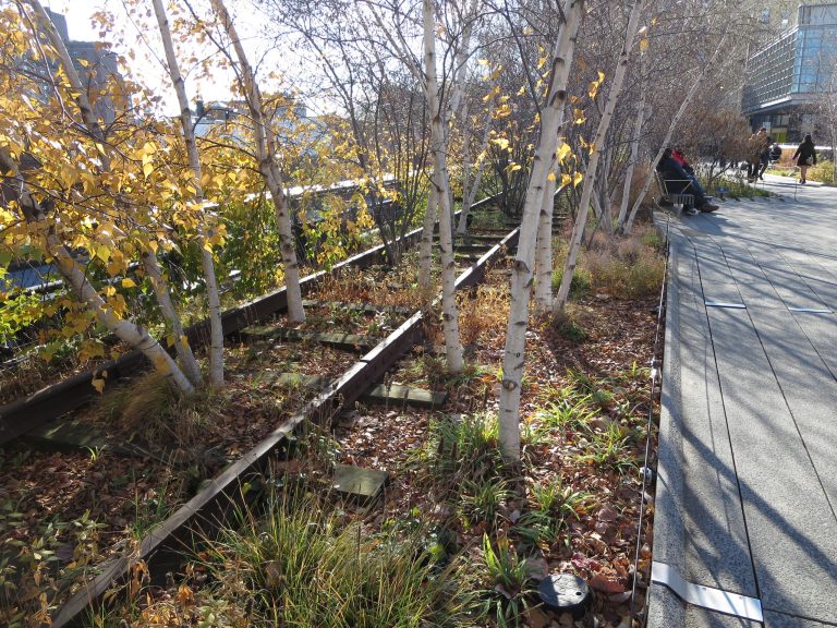 A Week in New York: Day&nbsp;6