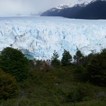 Glacier and Birds