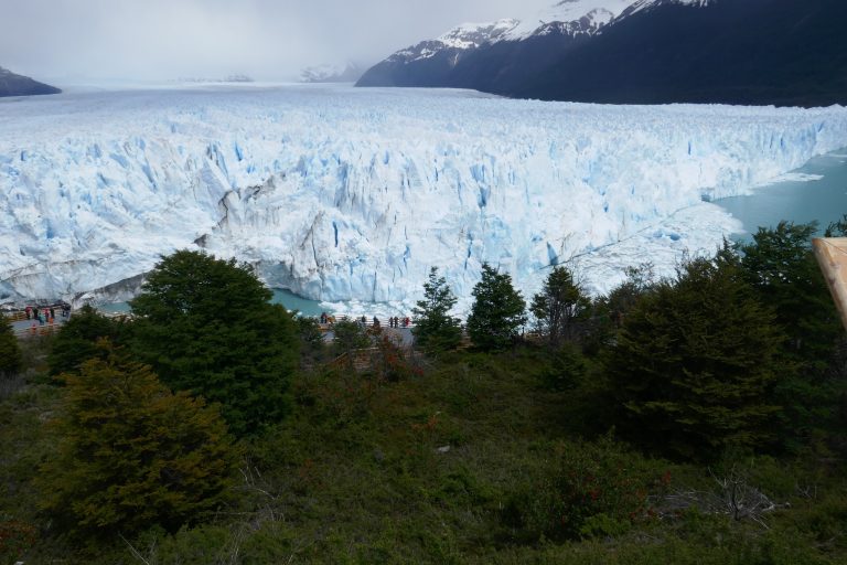 Glacier and&nbsp;Birds