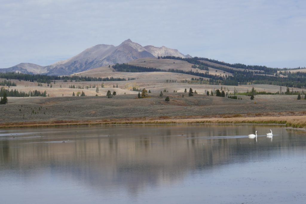 Swan Lake and Gallatin Range