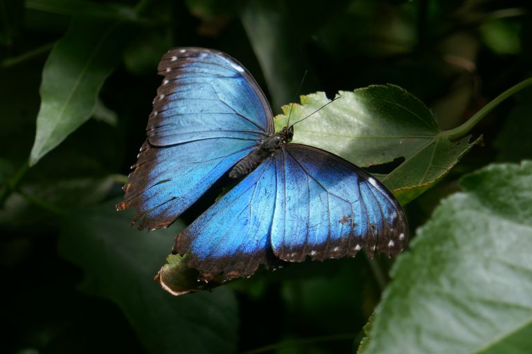 Pura vida, Part&nbsp;Five
