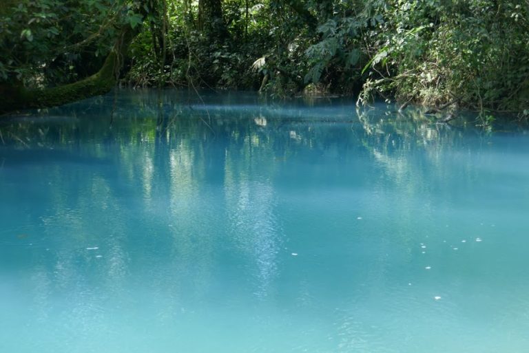 Pura vida, Part&nbsp;Four