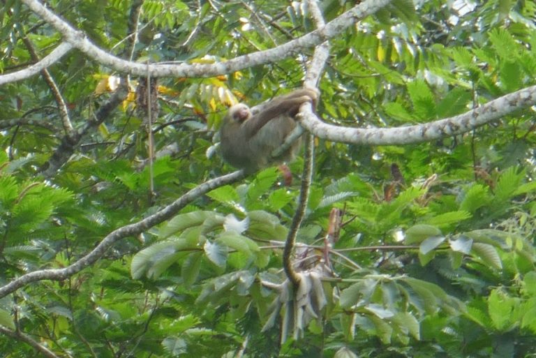 Pura vida, Part&nbsp;Three
