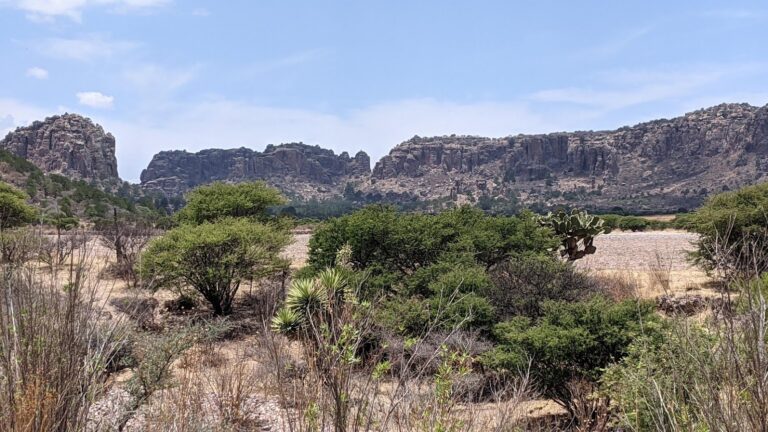 A view from Sierra de Órganos National Park
