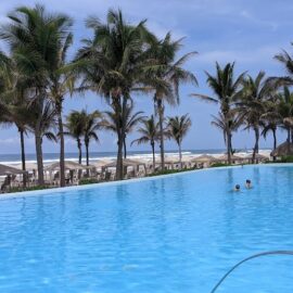 A swimming pool in a tropical setting with palm trees, a sandy beach, and the ocean in the background