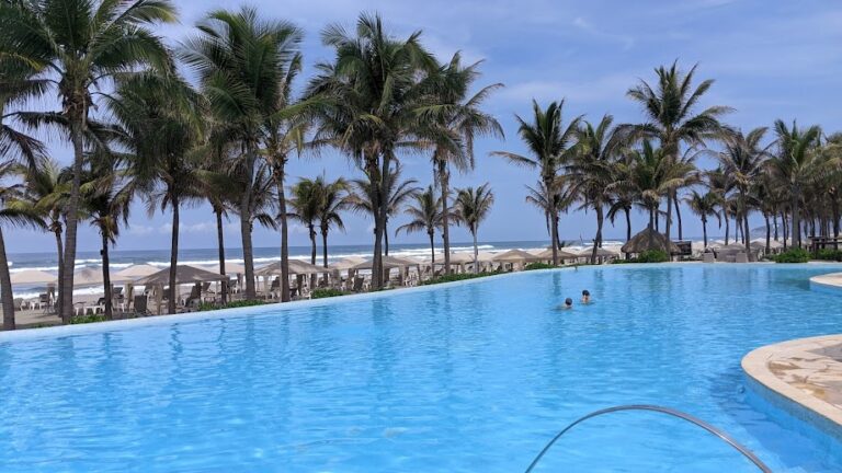 A swimming pool in a tropical setting with palm trees, a sandy beach, and the ocean in the background