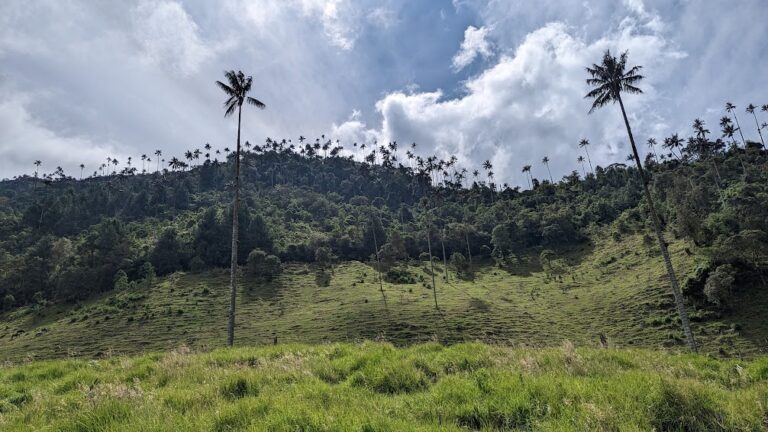 Quindío: Scenery, color, coffee, and&nbsp;rain
