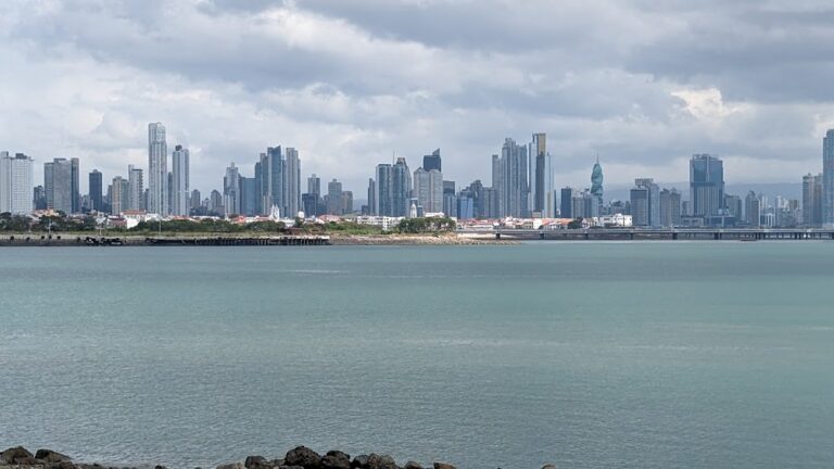 A view of a modern city skyline with a lot of tall buildings, seen across an expanse of water.