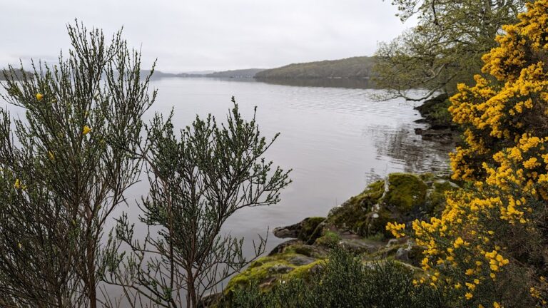On the bonnie bonnie banks of Loch Lomond