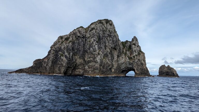 Bay of Islands: Hole, Treaty, Toilets, and Glowworms