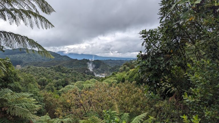 Rotorua: Redwoods, Waimangu, and Dinner Theatre