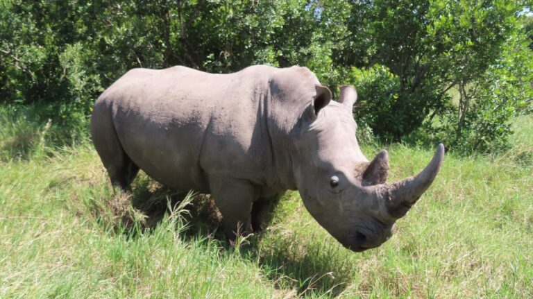 The African adventure ends in&nbsp;Kenya