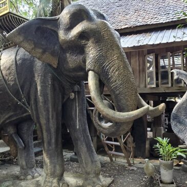 Chiang Mai: Elephants (and other things)