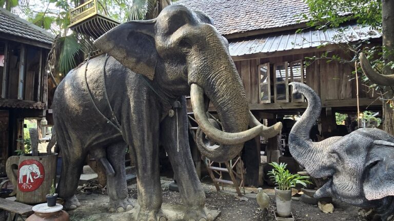 Chiang Mai: Elephants (and other things)