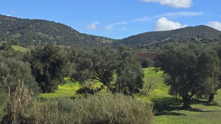 Northern Morocco: Casablanca to Chefchaouen