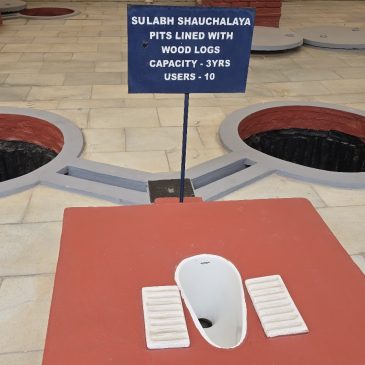 Delhi: Toilets and Modern Art