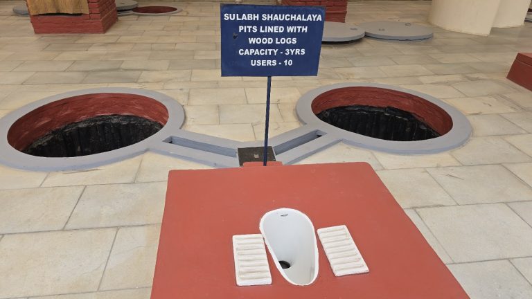 Delhi: Toilets and Modern Art