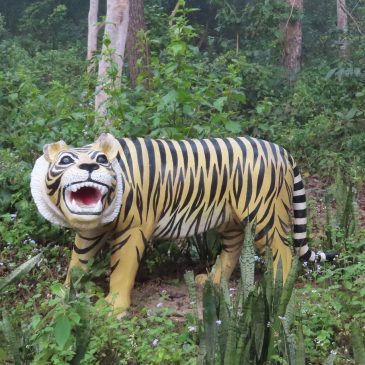 Rhinos, but no tigers: a visit to Chitwan National Park