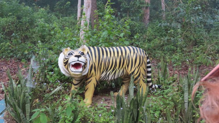 Rhinos, but no tigers: a visit to Chitwan National Park