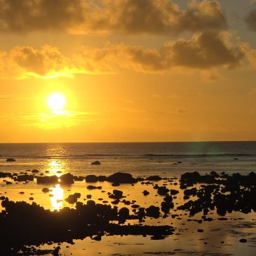 I made it to Mauritius (with some Mauritius history)