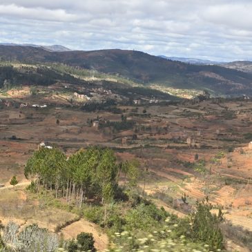 Madagascar Part Two: Andasibe to Ranomafana