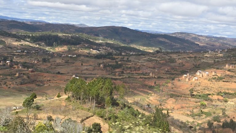 Madagascar Part Two: Andasibe to Ranomafana
