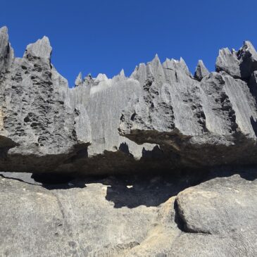 Madagascar Part Seven: Tsingy de Bemaraha