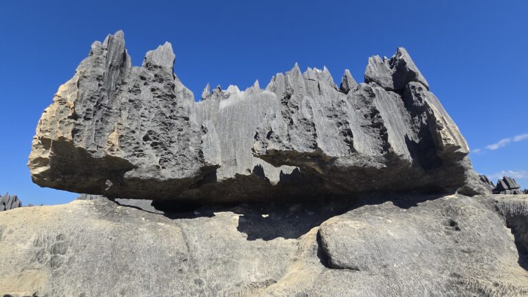 Madagascar Part Seven: Tsingy de Bemaraha